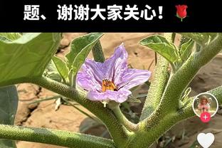 手感冰凉！利拉德打满首节6中0一分未得